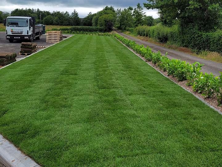 Turfing & Lawn